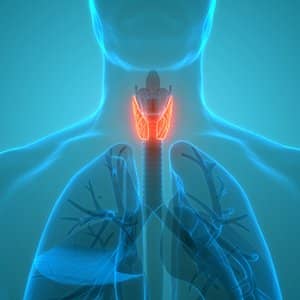 thyroid-imbalance-symptoms