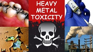 heavymetaltoxicity