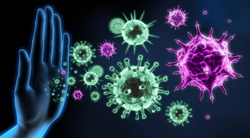 immunity-testing-immune-system-test-asheville