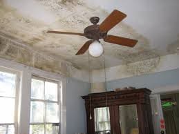 The telltale appearance of toxic mold growth following water damage. The presence of mold is often much less obvious.